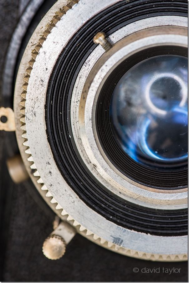 dust, Kenko, extension tubes, DOF, Depth of Field, Accordion bellows, Digital Macro Photography, Macro photography course