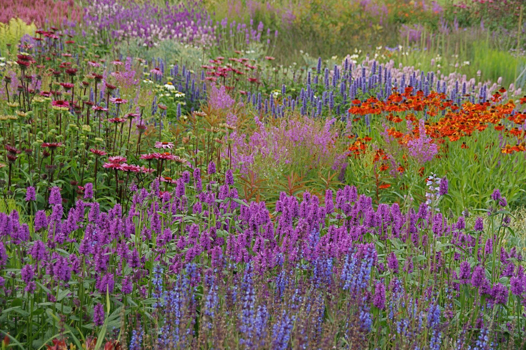 Garden Design Course with Piet Oudolf and Dr Noel ...