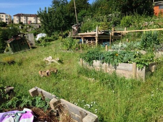 I suppose a raised bed is quite a good idea if you really can't be bothered to deal with the weeds.