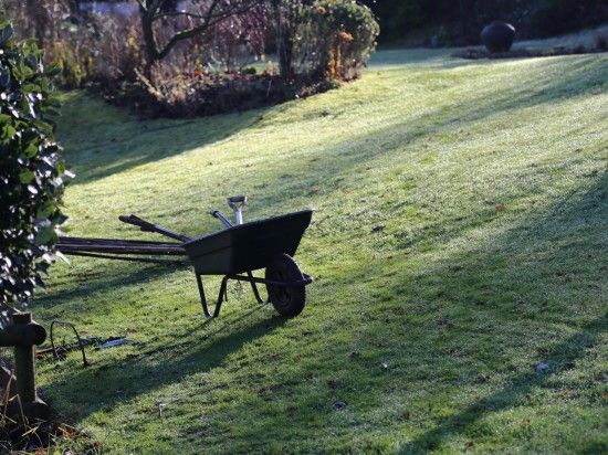 frosty day wheelbarrow