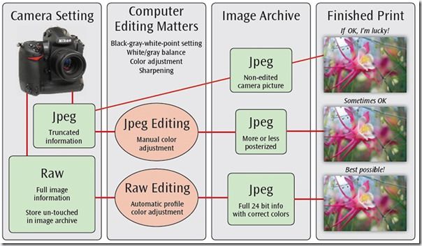 Raw vs JPEG, Raw Files, Camera Raw, JPG, JPEG, 