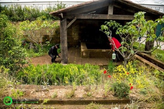 A perfumer's Garden in Grasse