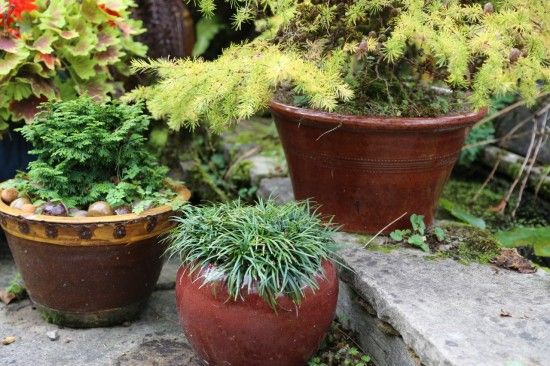 Glazed pots