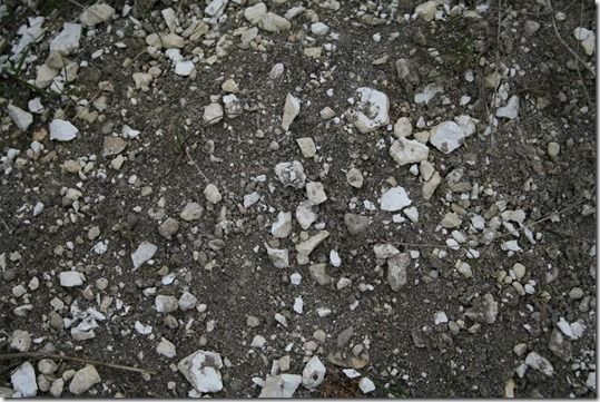 Ivinghoe Beacon Chalky Soil 05, Soil, soil preparation, Soil improvement, How to Improve Difficult Soils, Clay Soils, Sandy Soils, Chalk Soils, Drainage, Soil Drainage,