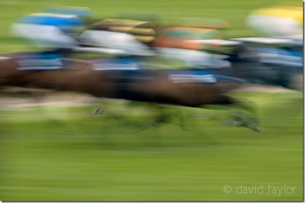 Horse racing, Hexham Race Course, Northumberland, England