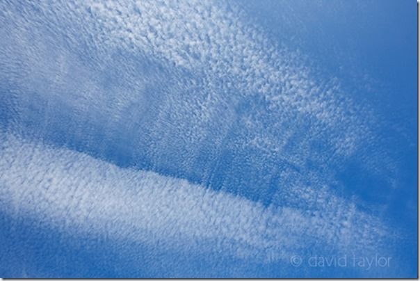 Altocumulus 'mackerel' clouds. Like other cumulus clouds, altocumulus signifies convection and potential future rain, Predicting Weather, Clouds, weather, light quality, Landscape, Cirrocumulus