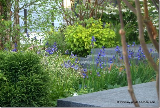 Charlotte Rowe Show Garden Chelsea Flower Show 2014