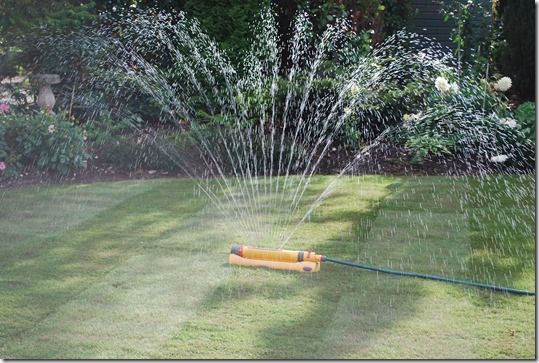 watering, Grass, how to lay sod, how to lay turf, instant lawn, Lawn, Sod, Turf